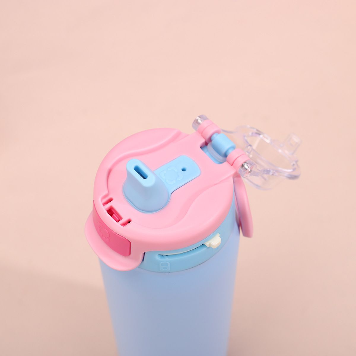 650ml Double - Wall Stainless Steel Vacuum Insulated Water Bottle with Push Button Leak - Proof Lid